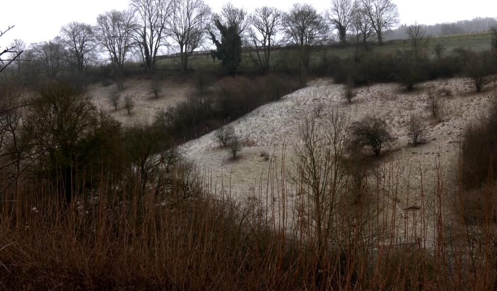 Le vallon du Wayot, désormais officiellement protégé