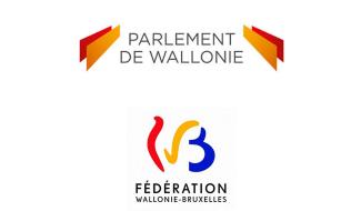 Direct Parlement