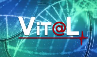 VitaL - 24/02/2024